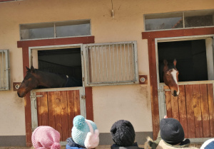 Dzieci ogladają konie w stadninie