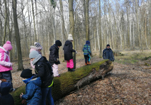 Dzieci przechodzą po połamanych drzewie