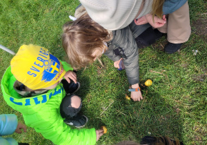Chłopcy znalezli ślimaki, szykują im miejsce odpoczynku