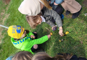 Chłopcy znalezli ślimaki, przynoszą im jabłka