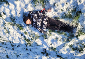 Leon leży na śniegu