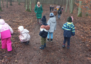 Dzieci bawią sie w lesie na wyznaczonym terenie
