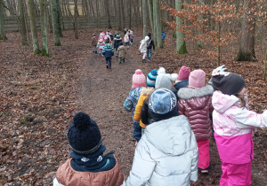 Dzieci spacerują parami poprzez leśne ścieżki