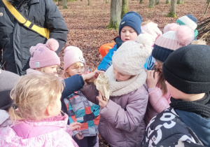 Dzieci ogladają szkielet głowy jakiegoś leśnego zwierzęcia
