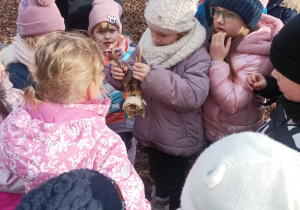 Dzieci ogladają szkielet głowy jakiegoś leśnego zwierzęcia