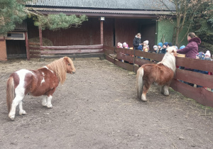 Dzieci ogladają kucyki