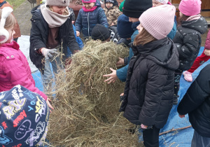 Dzieci bawią się przy sianie- bedą tworzyć Marzannę