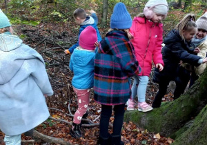 Dzieci chodzą po leśnych ścieżkach.