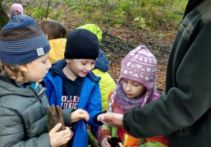 Dzieci oglądają leśne okazy przyrody pokazywane przez Pana leśnika.