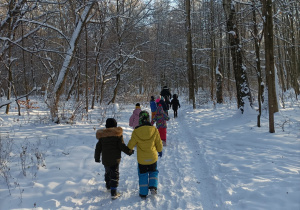 Dzieci w parach spacerują po lesie
