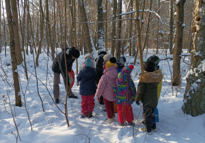 Dzieci spacerują między drzewami w lesie